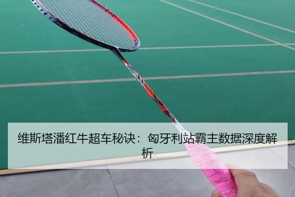 维斯塔潘红牛超车秘诀：匈牙利站霸主数据深度解析