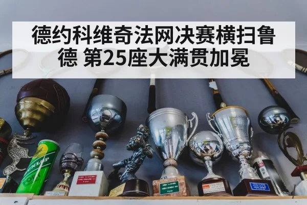 德约科维奇法网决赛横扫鲁德 第25座大满贯加冕